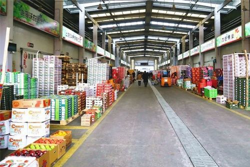 便宜到笑不動 上海隱藏的新鮮水果批發地 散戶也能買 附掃貨攻略