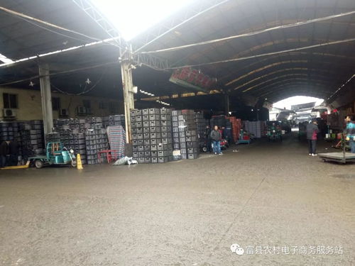 浙江金華農(nóng)產(chǎn)品批發(fā)市場(chǎng) 延安蘋果預(yù)測(cè)報(bào)告
